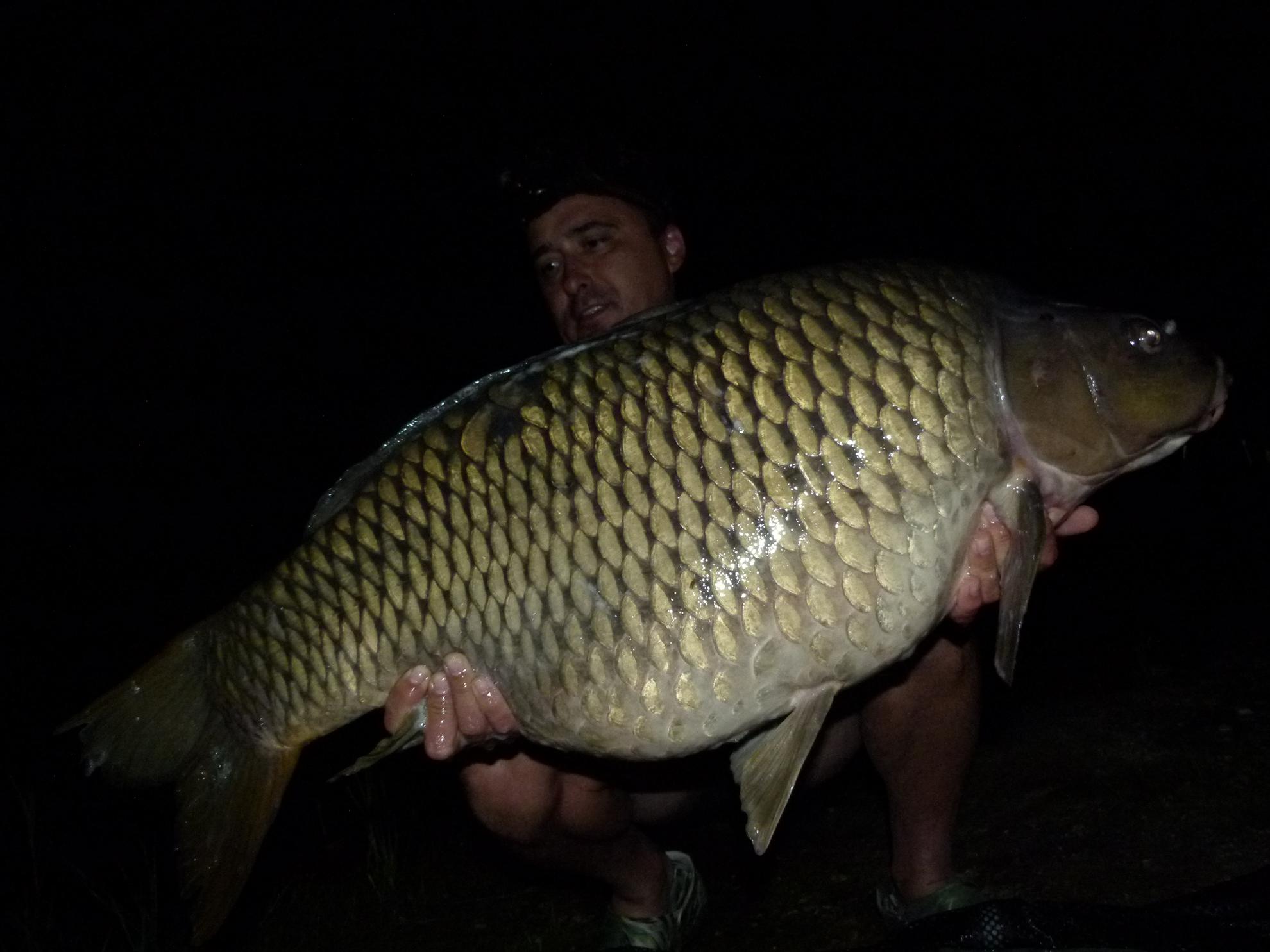 PDB 2013 - 21,500 kg